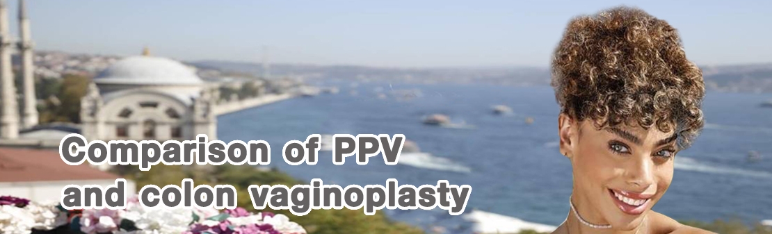 PPV와 결장 질성형술의 비교
